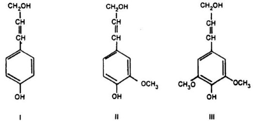 lignina