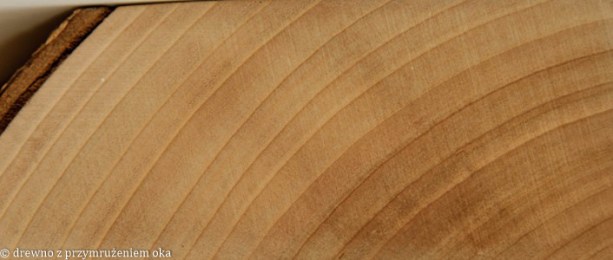 czereśnia przekrój poprzeczny