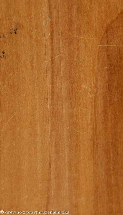 jabłoń promieniowy