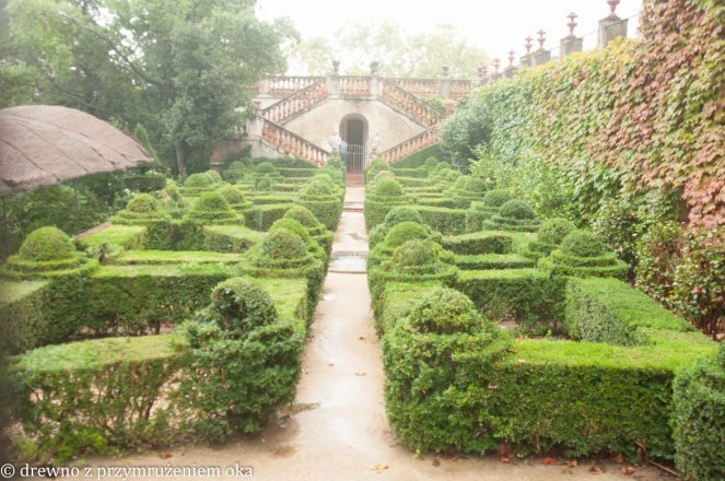 nadawanie kształtu żywopłotom