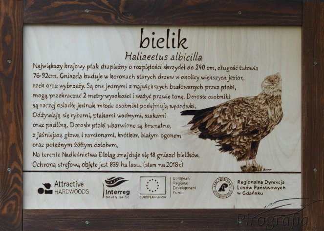 pirografia, tablica edukacyjna, wypalanie w drewnie