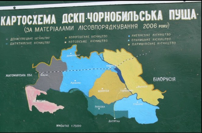 Puszcza Czarnobylska