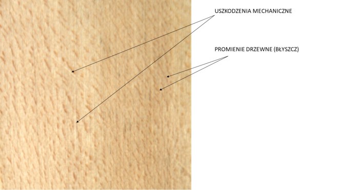 drewno lipy przekrój styczny